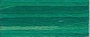 4045 Evergreen Forest