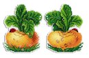 Репка (пластиковая канва)